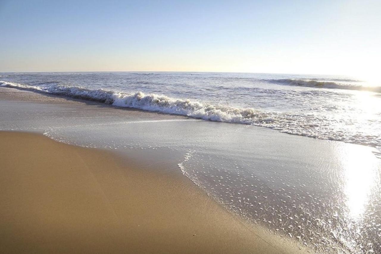 Amazing Beach & Sunsets Just 75M From The Beach! Cadzand Zewnętrze zdjęcie